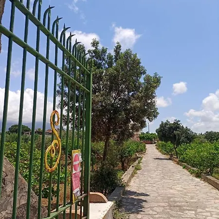 Al Limoneto *